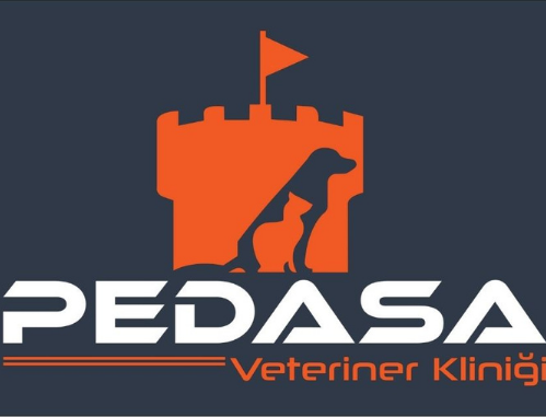 bodrum veteriner kliniği