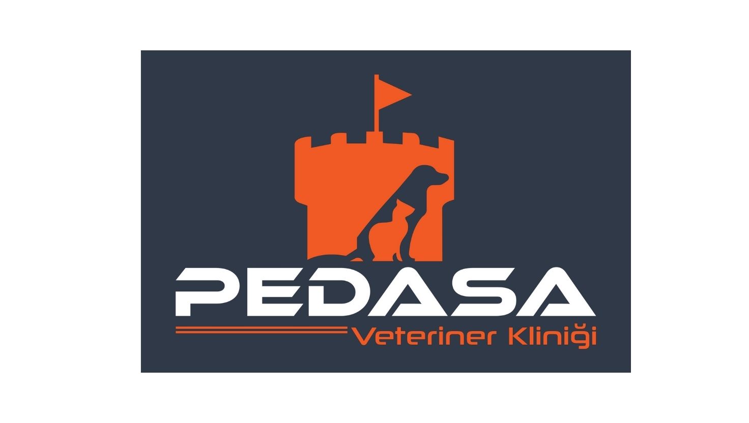 bodrum veteriner kliniği